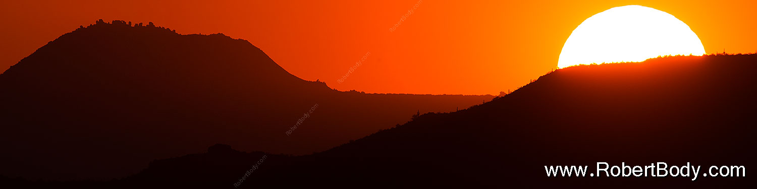 2015-07-21-supers-fish-sun-6d_5519sp