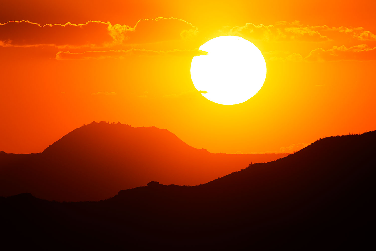 2015-07-23-supers-fish-sun-6d_6157