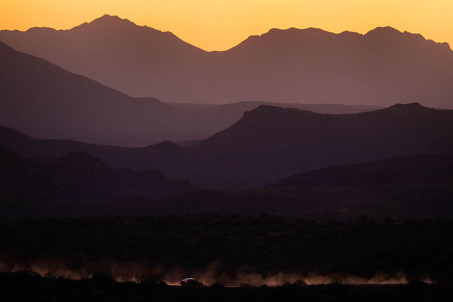 2015-07-27-supers-fish-1dx_0225