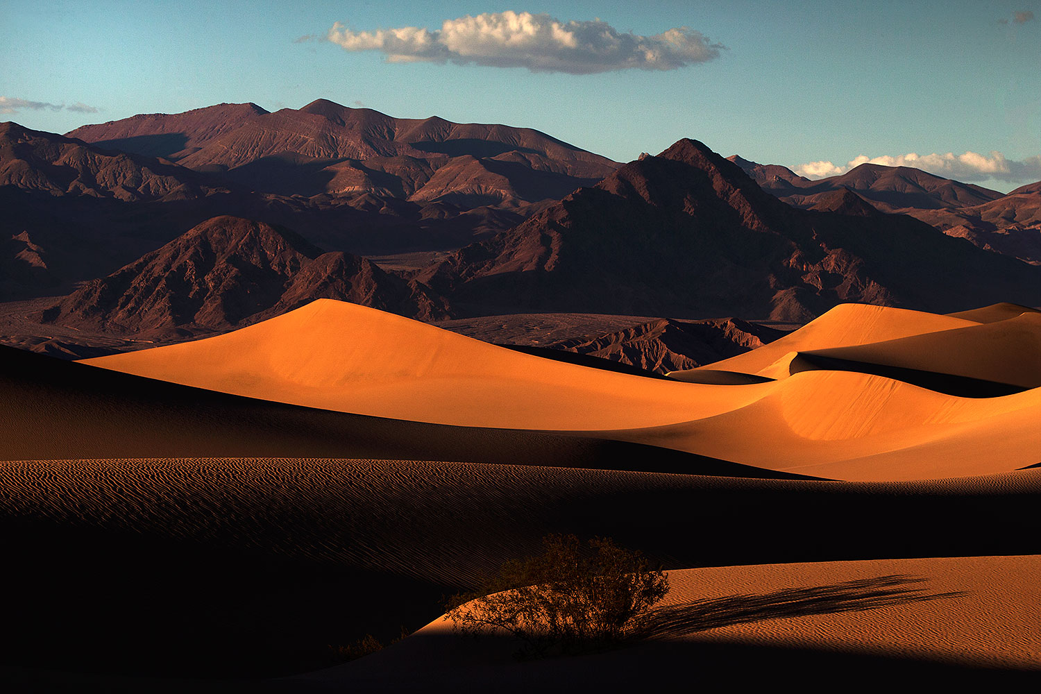 2015-08-12-dv-mesquite-1-4-1dx_3128