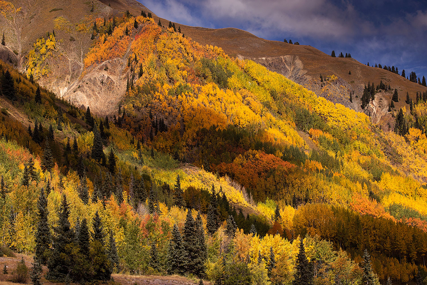 2015-09-23-red-mountain-6d_9464