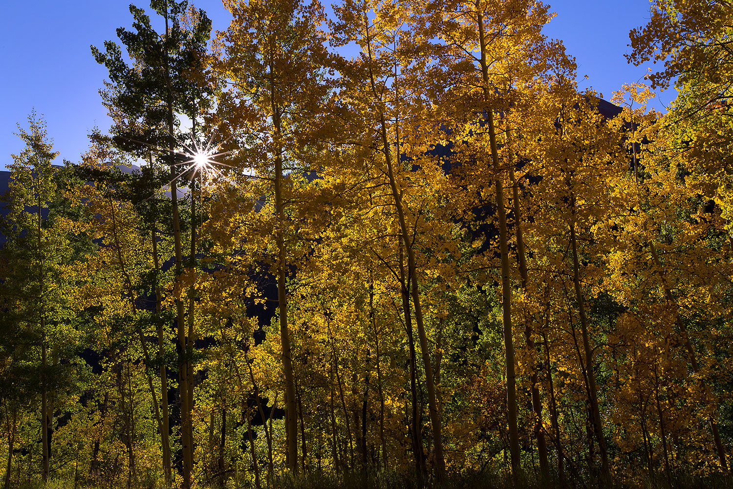 2015-09-24-red-mtn-starburst-6d_9817