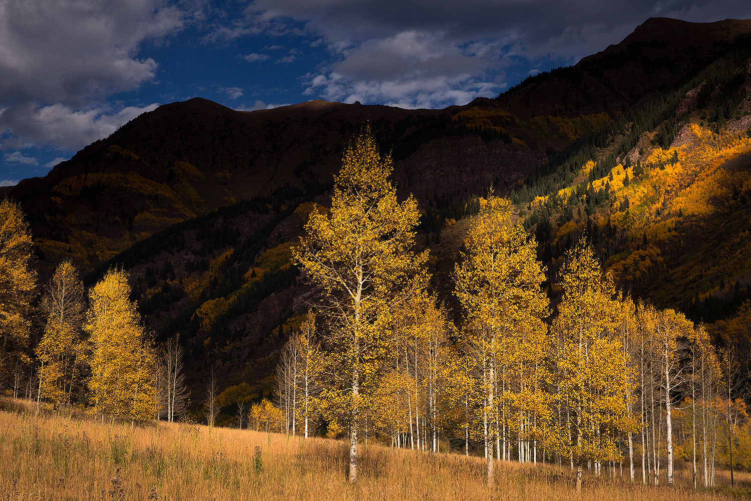 2015-09-28-maroon-bells-trees-5d3_4208
