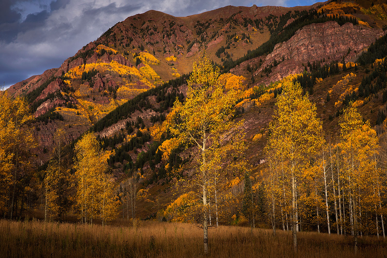 2015-09-29-maroon-bells-trees-5d3_4559