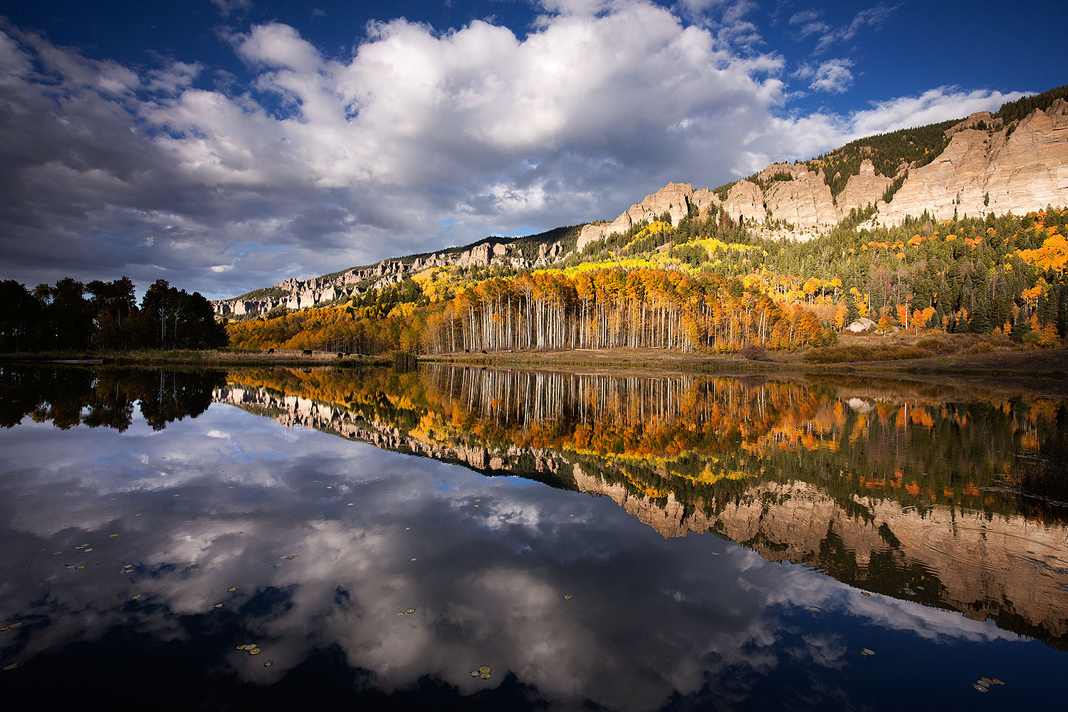 2015-10-04-clear-reflection-5d3_6909