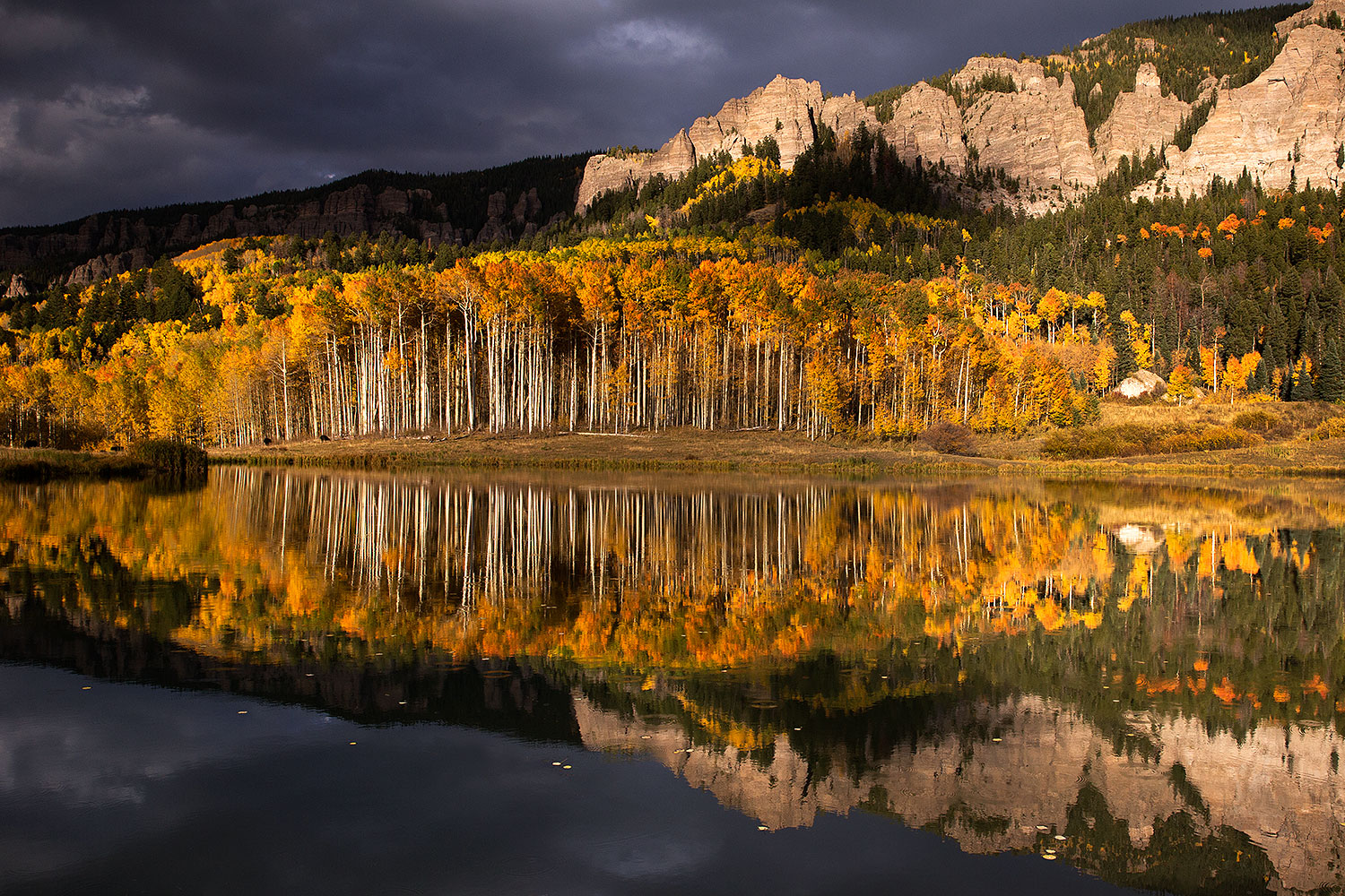 2015-10-04-clear-reflection-6d_2169