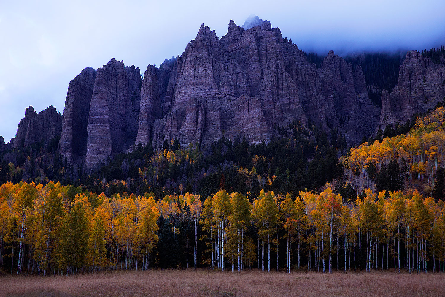 2015-10-05-owl-fog-trees-5d3_6945