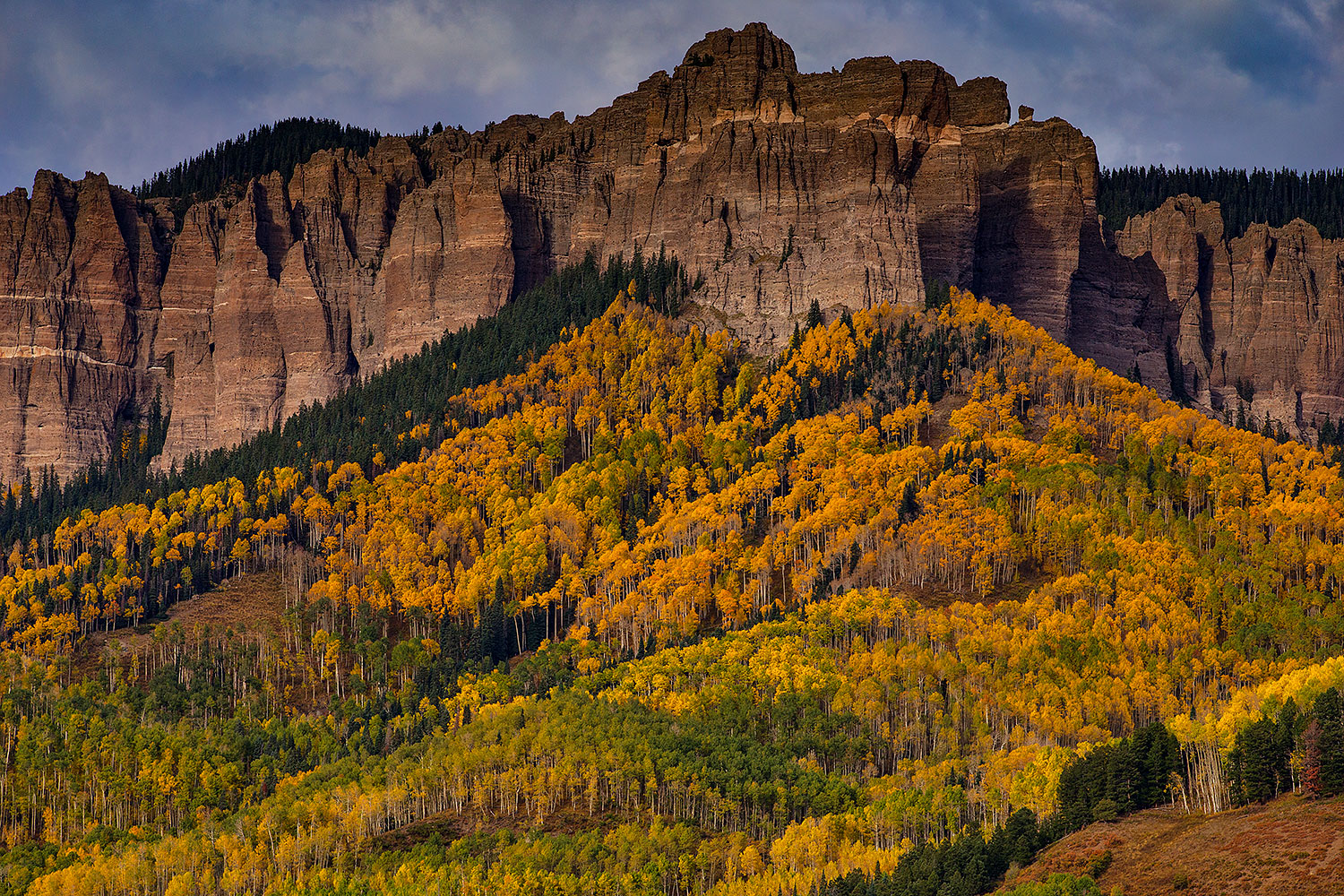 2015-10-06-owl-creek-trees-viv1-84-7-0-6d_2881