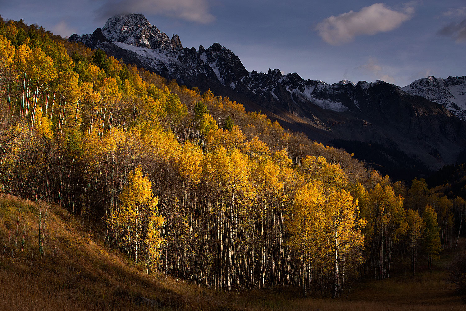 2015-10-08-sneffels-yel-1-4-7-6d_3478