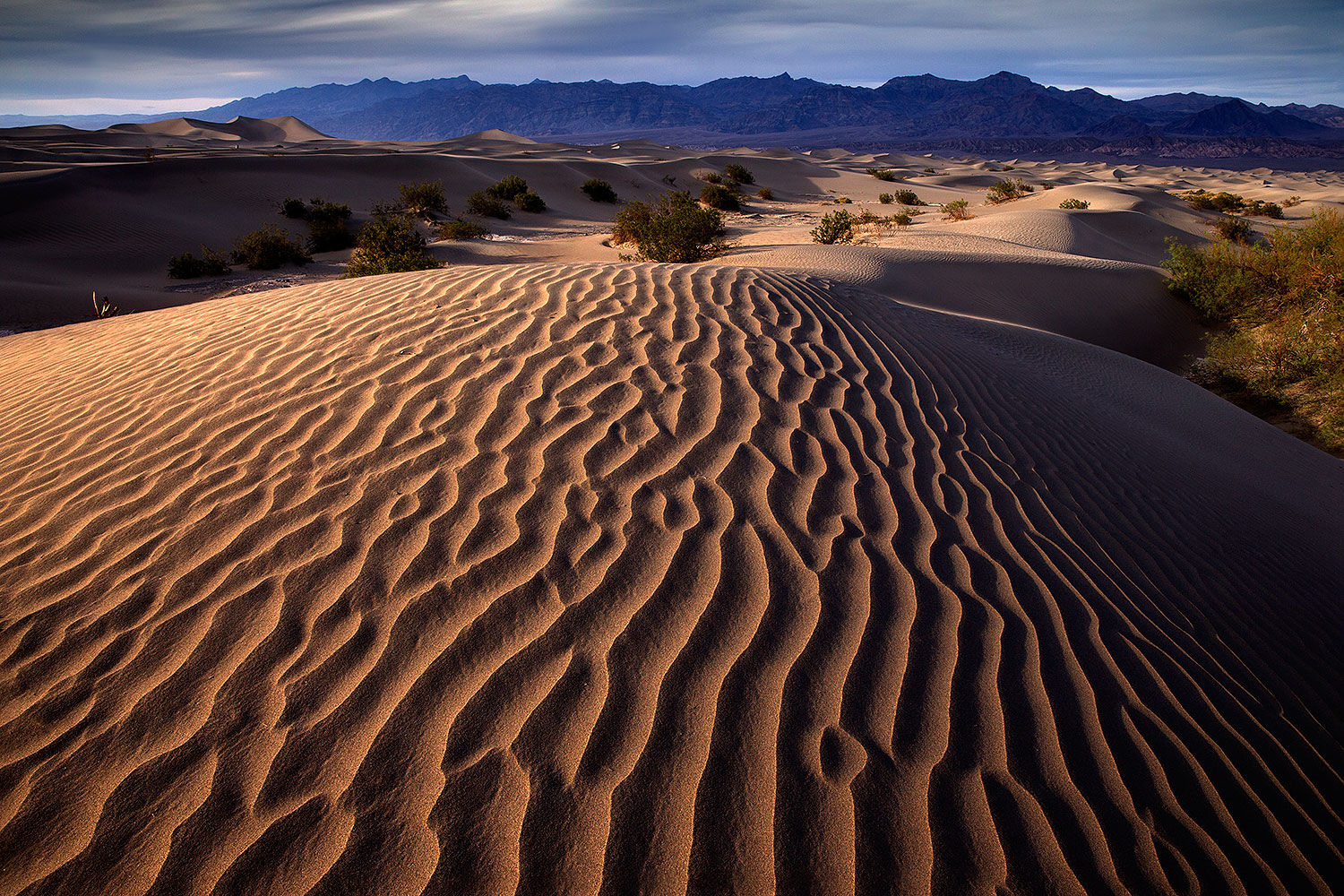 2016-04-26-dv-mesquite-6-9-1dx_11193