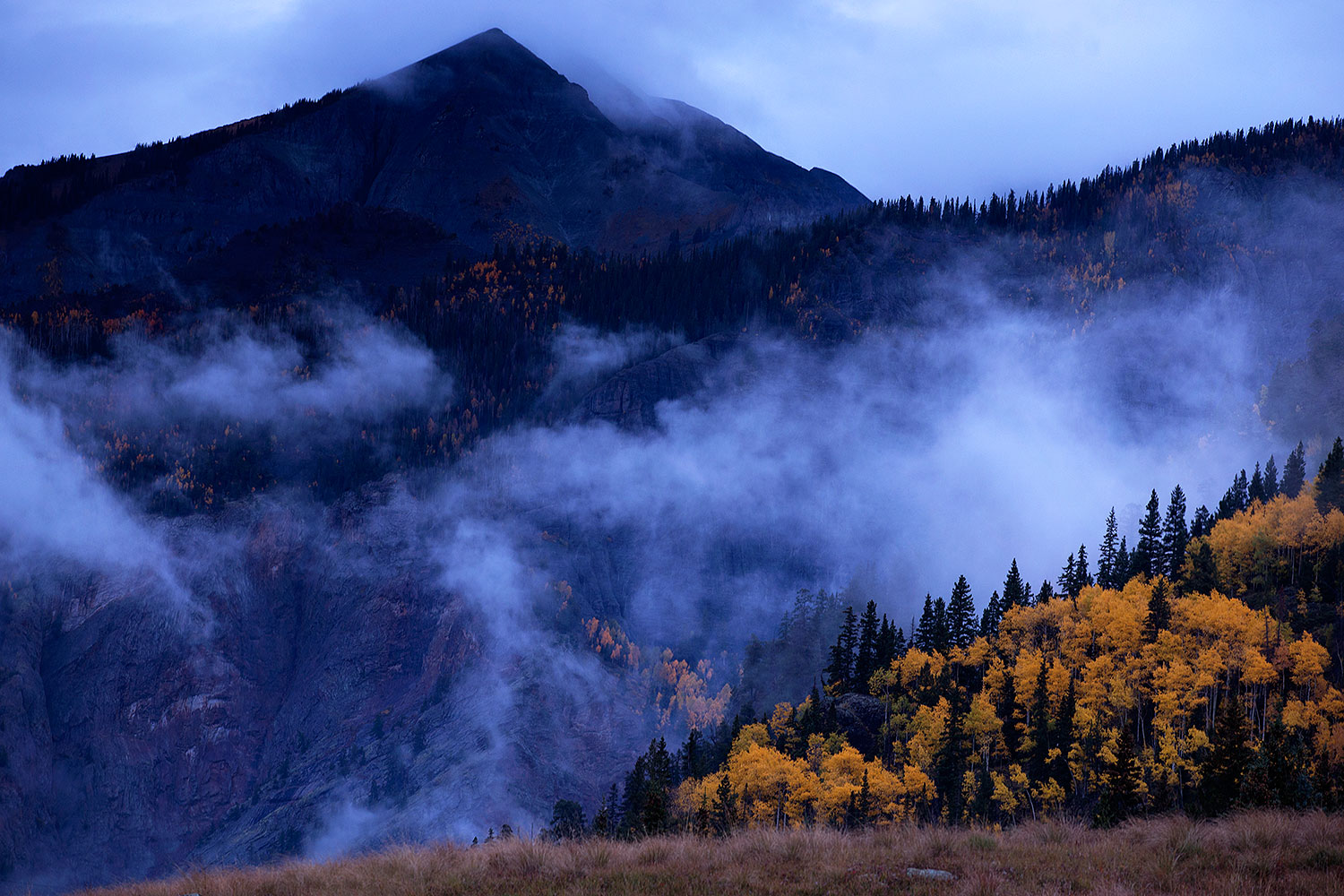 2016-09-30-fog-trees-8-6d_3965