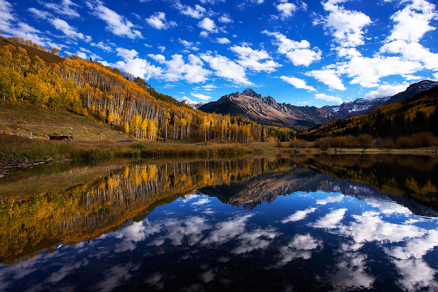 2016-10-02-sneffels-pond-ref-1dx_26577
