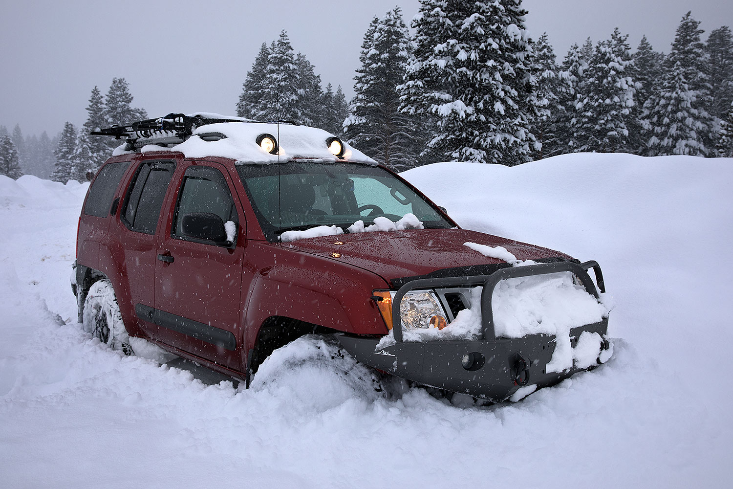 2017-01-12-sierra-xterra-5d4_0634