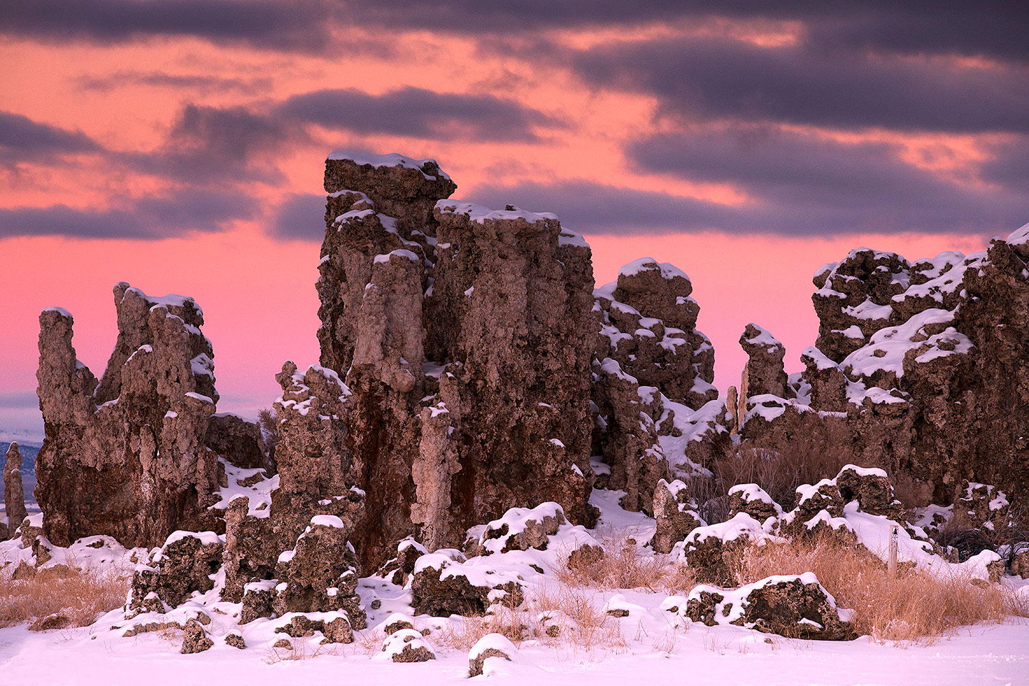 2017-01-13-mono-tufas-5d4_1185