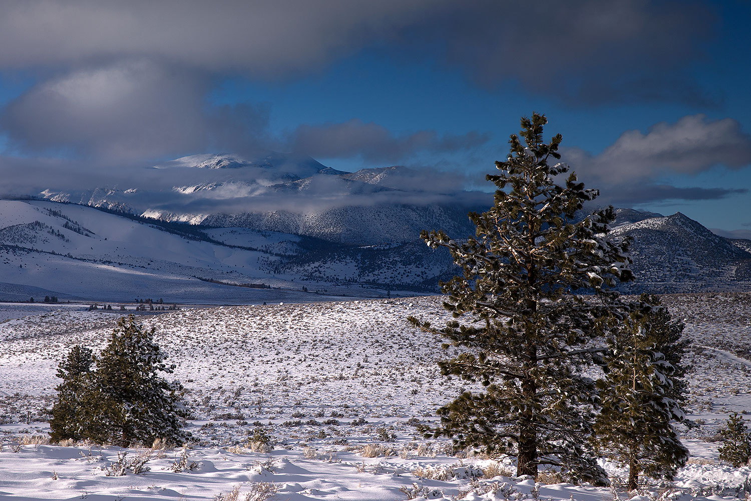 2017-01-13-sierra-lookout-5d4_1158