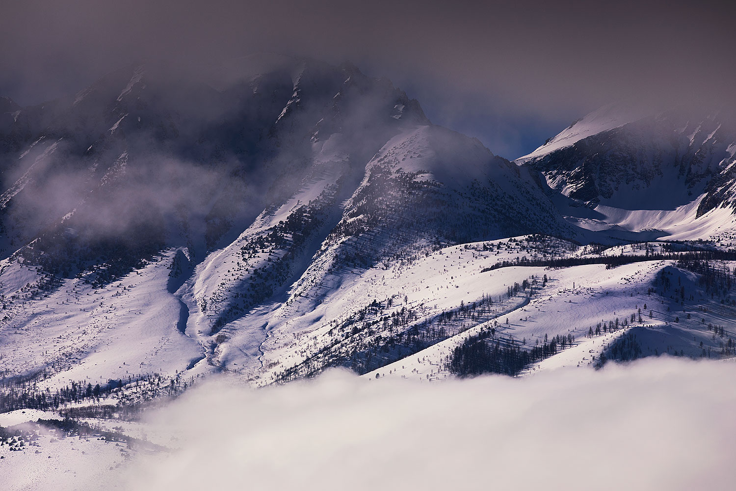 2017-01-14-sierra-mountains-5d4_1754