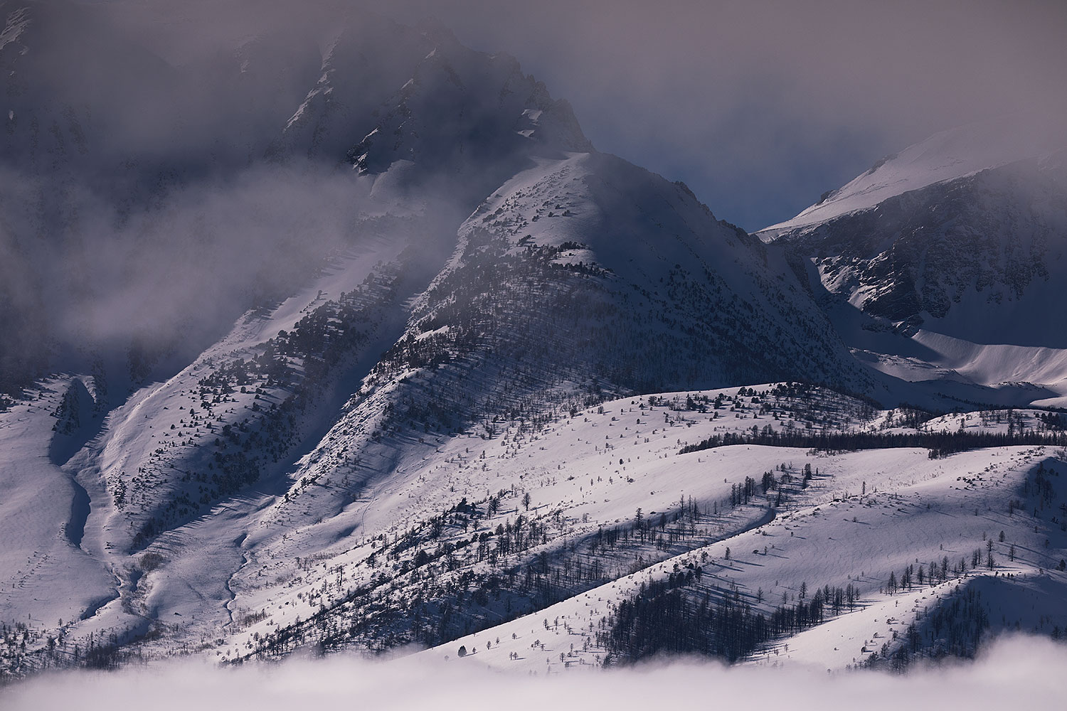 2017-01-14-sierra-mountains-5d4_1767