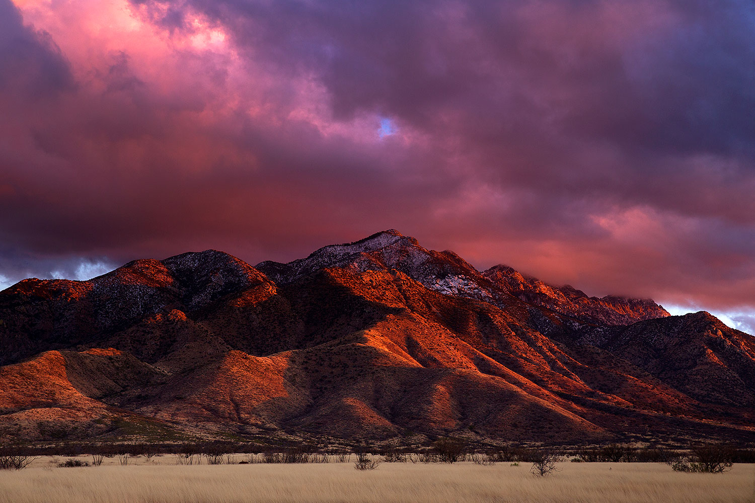 2017-01-24-santa-ritas-1x_35511