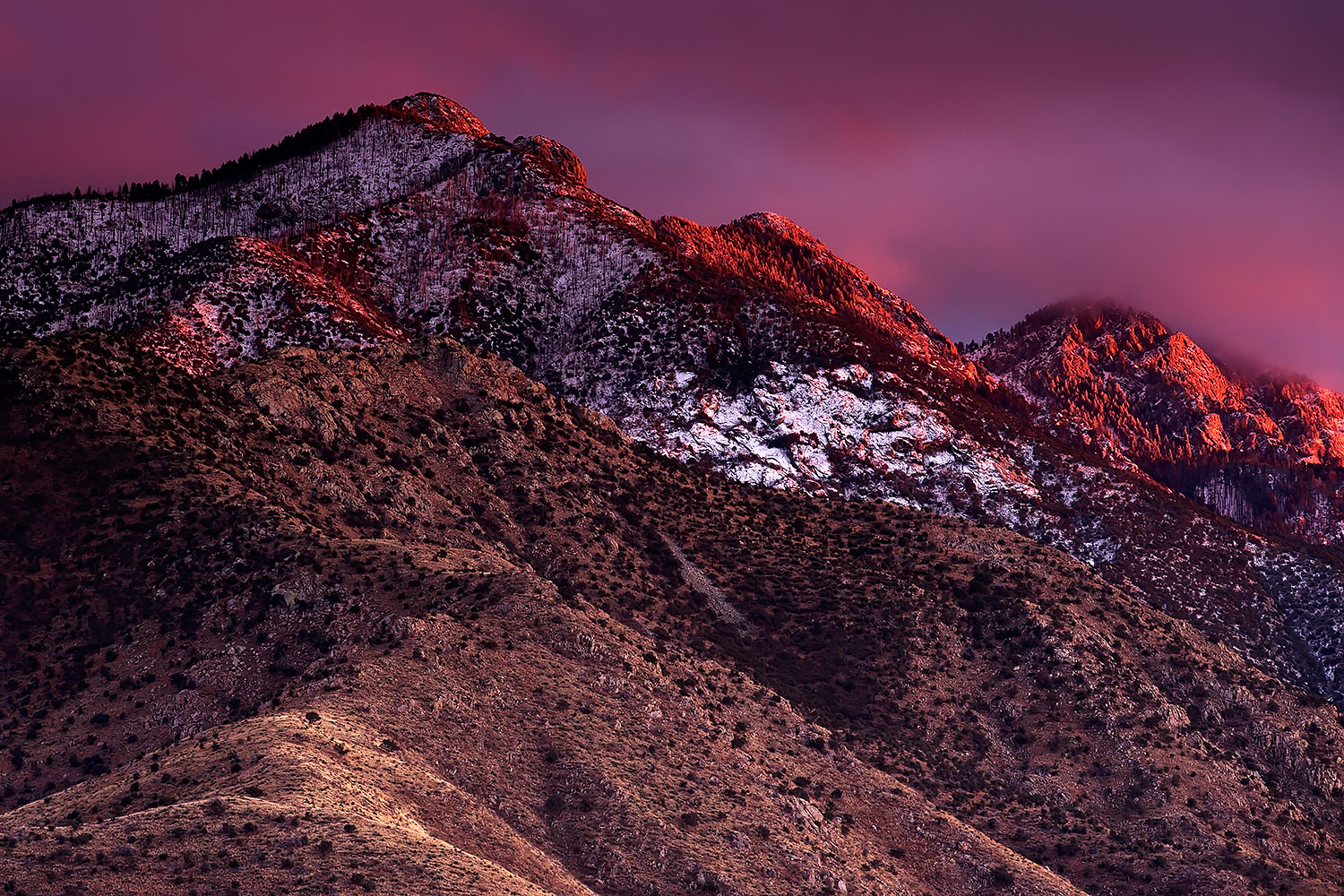 2017-01-24-santa-ritas-1x_35526