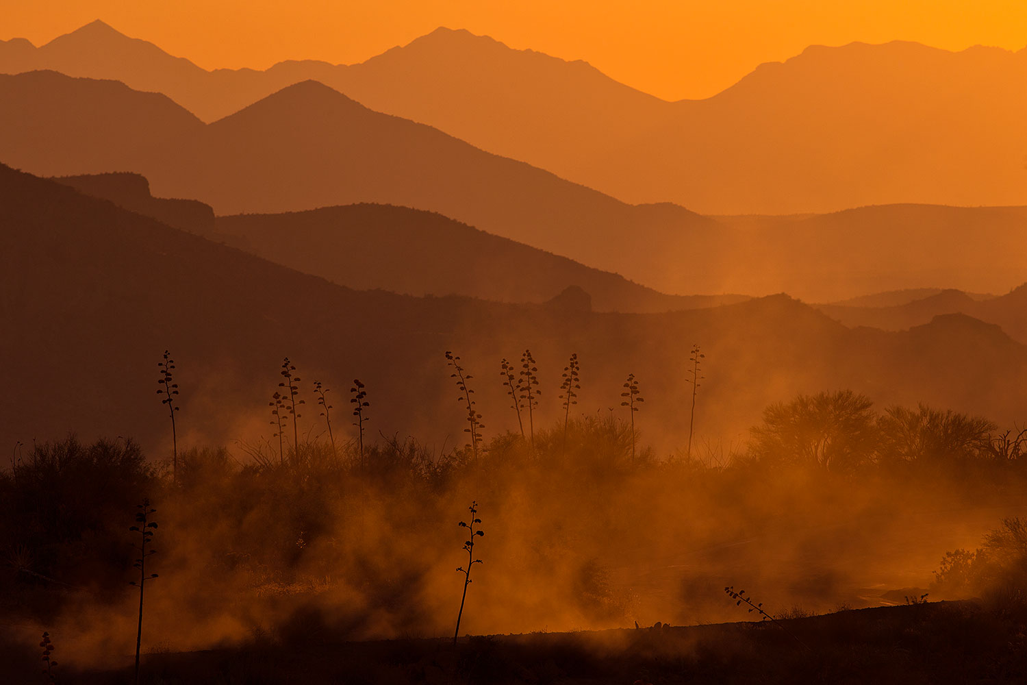 2017-06-09-supers-fish-mi50-1dx_50110