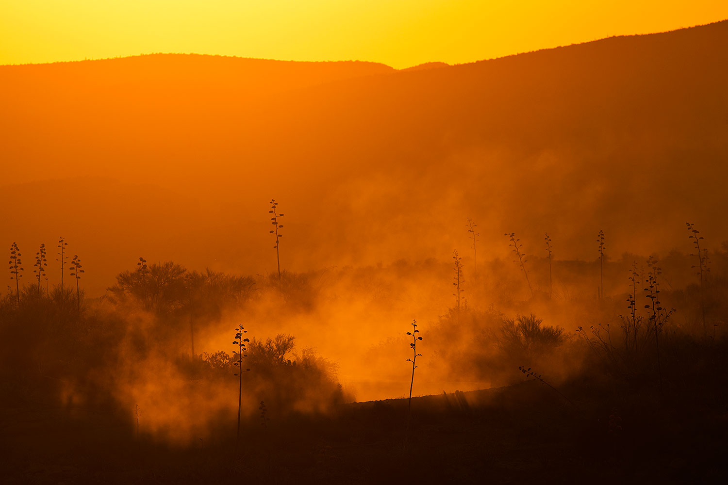 2017-06-09-supers-fish-mi50-1dx_50119