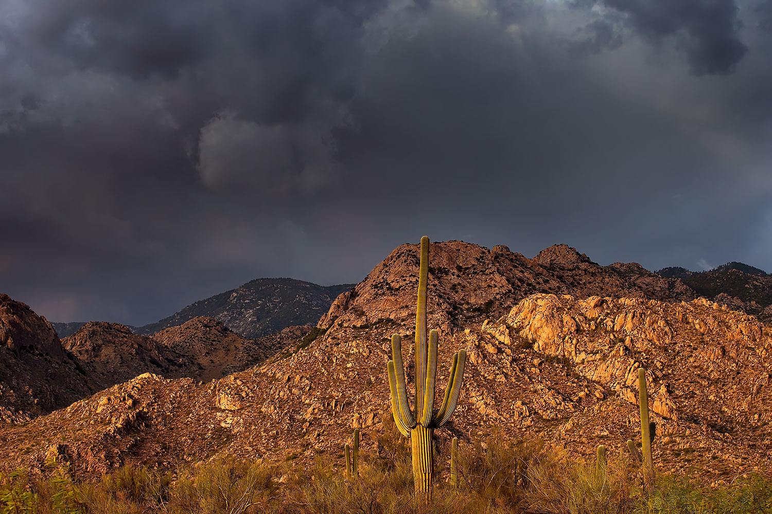 2017-07-10-catalina-monsoon-1x_56298