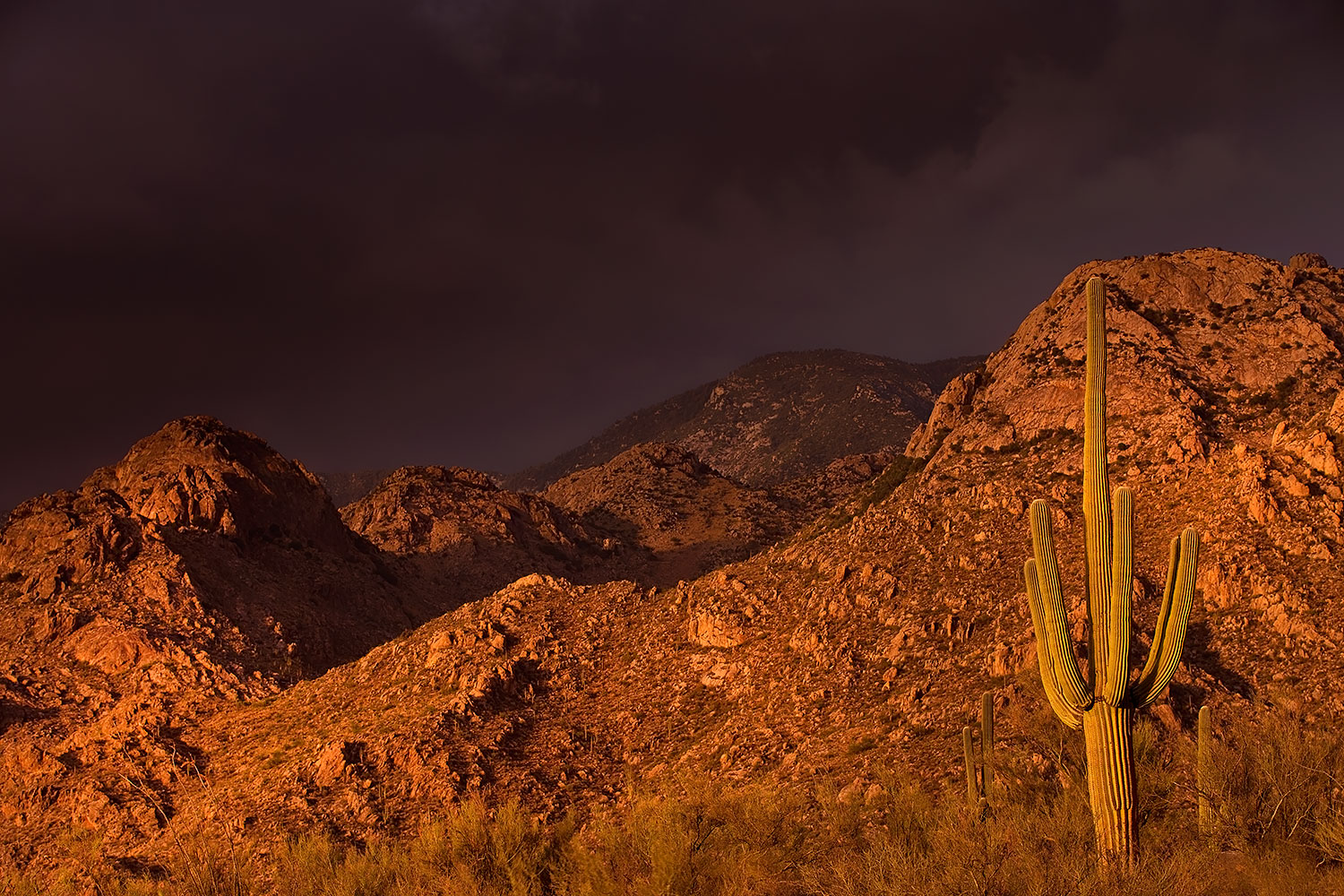 2017-07-10-catalina-monsoon-1x_56303