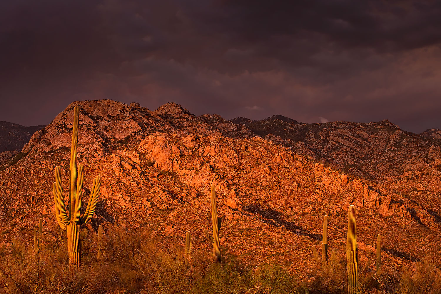 2017-07-10-catalina-monsoon-1x_56337