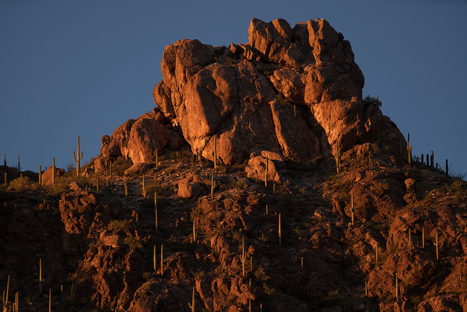 2017-07-19-tuc-mtns-a7r2_00094