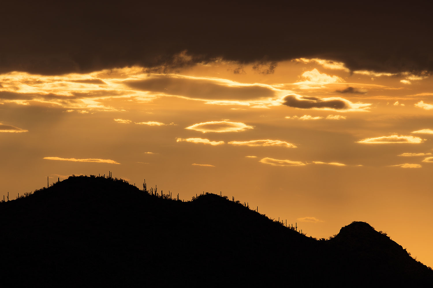2017-07-19-tuc-mtns-silh-a7r2_00068