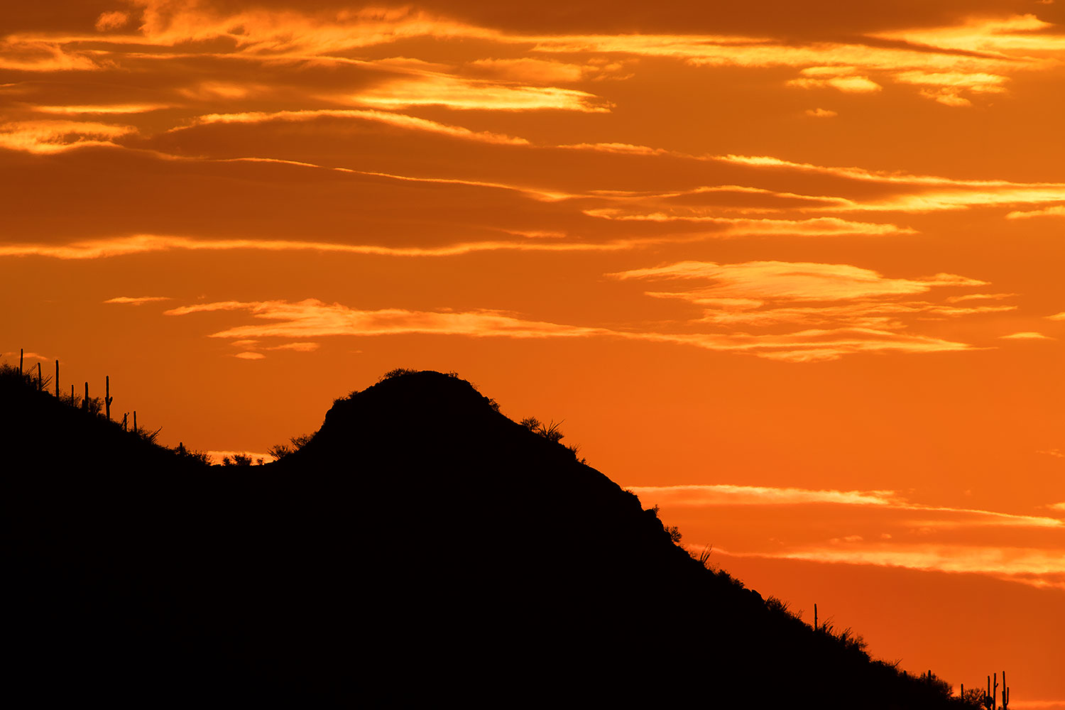 2017-07-19-tuc-mtns-silh-a7r2_00105
