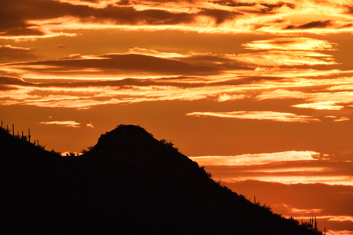 2017-07-19-tuc-mtns-silh-lu-a7r2_00111