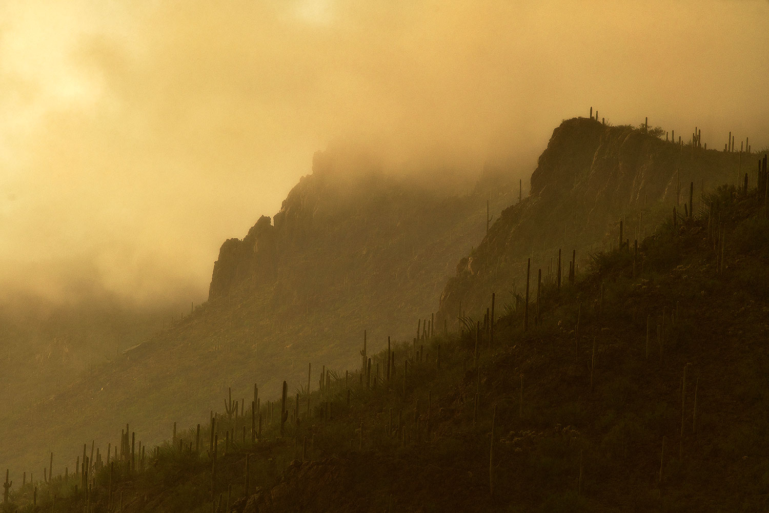 2017-07-22-tucs-mtns-fog-a7r2_00451