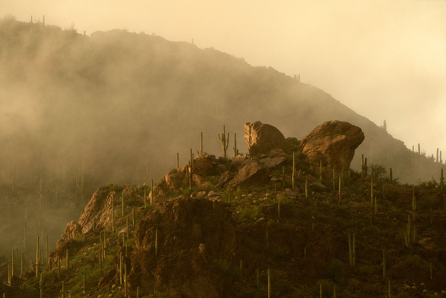 2017-07-22-tucs-mtns-fog-a7r2_00455