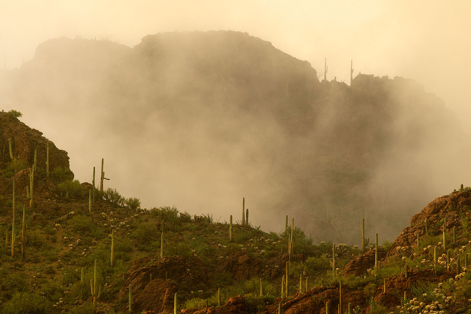 2017-07-22-tucs-mtns-fog-a7r2_00457