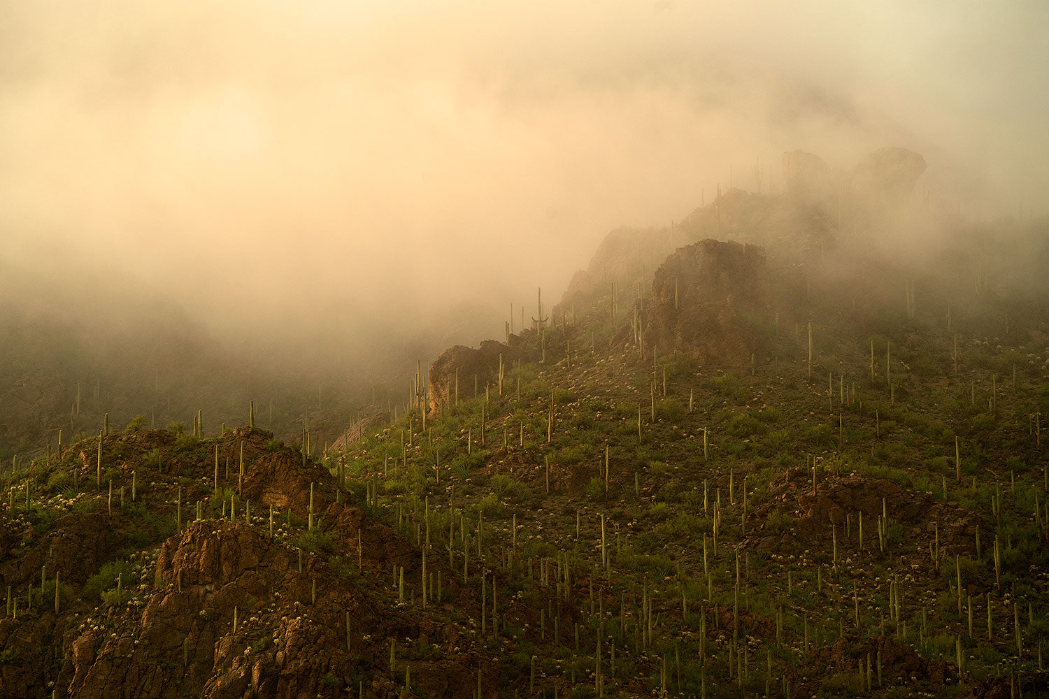 2017-07-22-tucs-mtns-fog-a7r2_00468