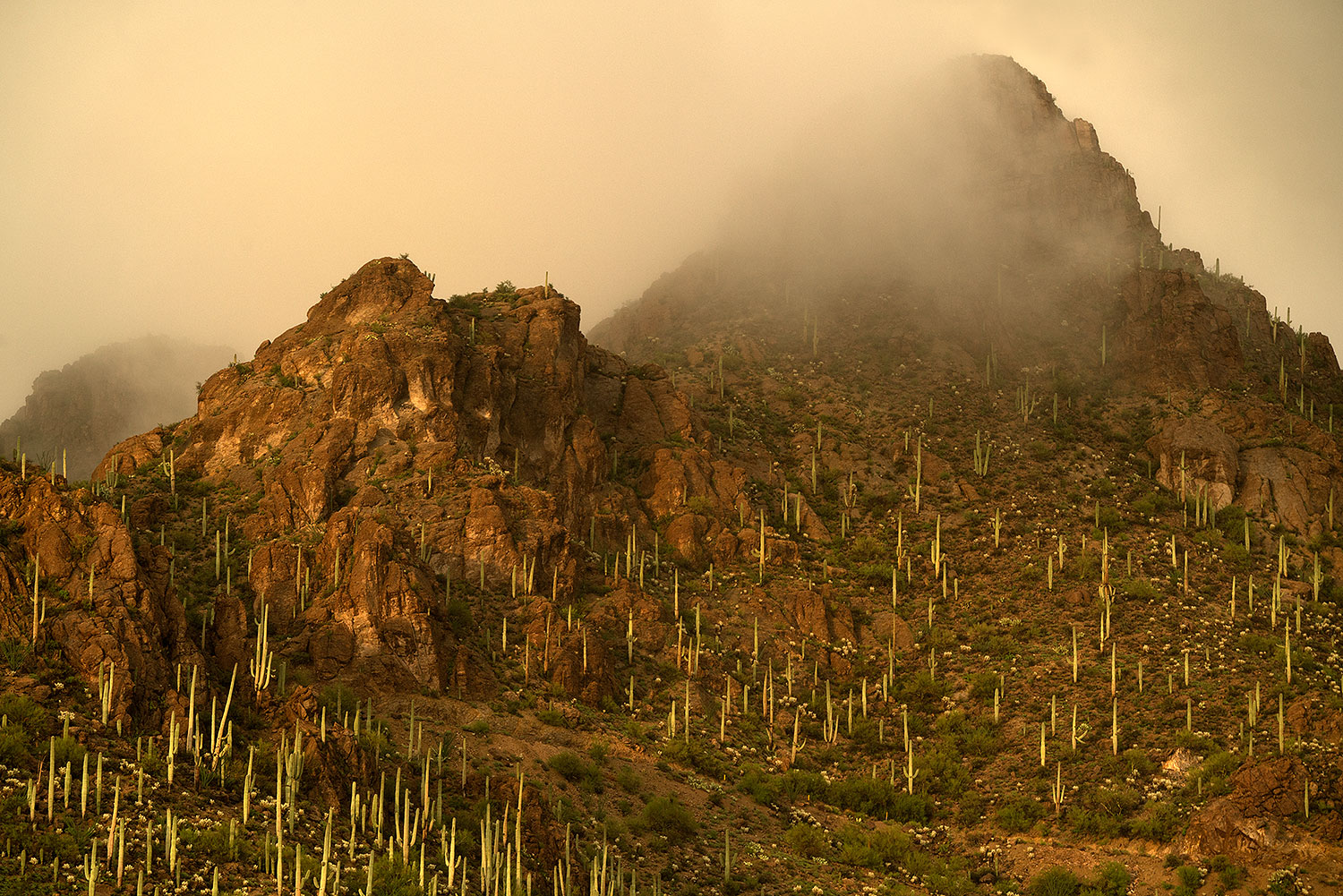 2017-07-22-tucs-mtns-fog-a7r2_00475