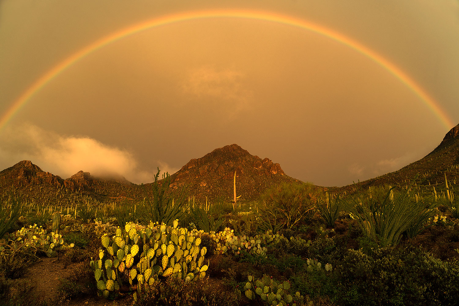 2017-07-22-tucson-mtns-7-a7_0486