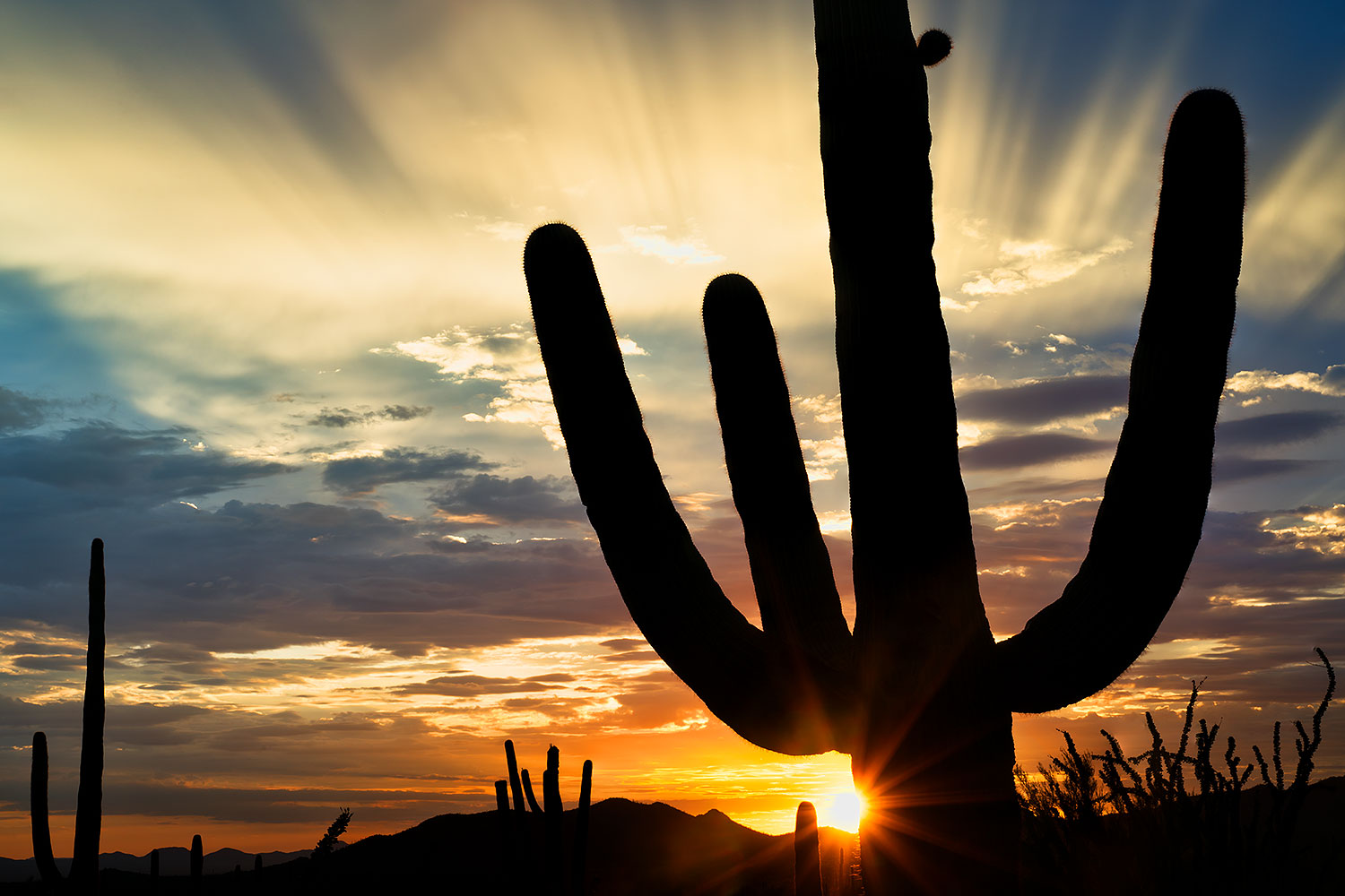 2017-07-27-tuc-mtns-star-im1s-40-a7r2_00739