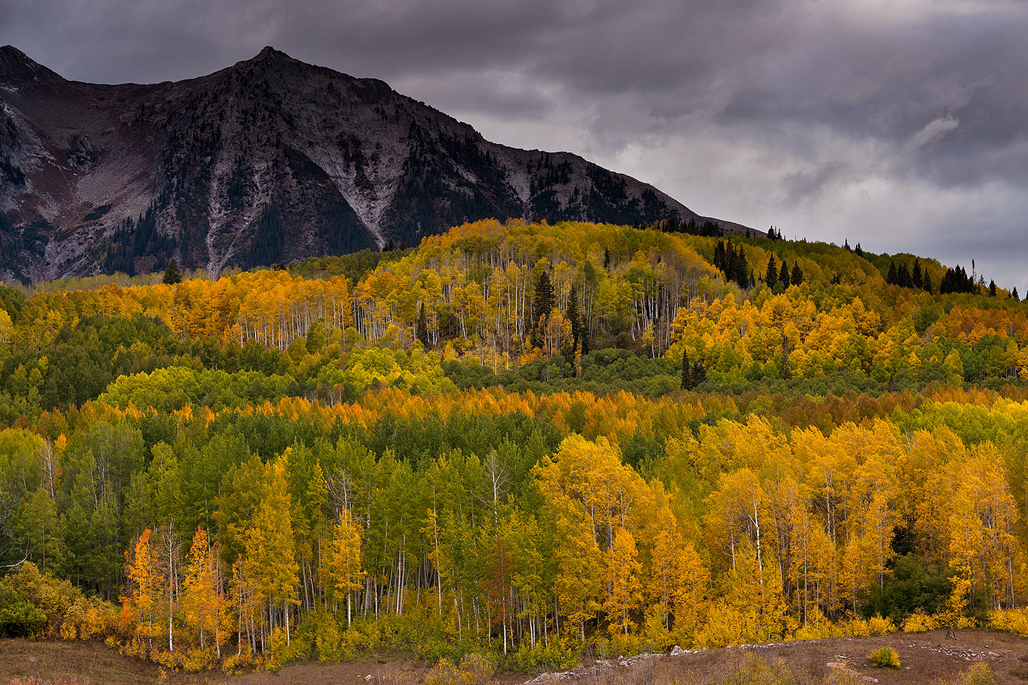 2017-09-28-colo-kebler-a7r2_04186