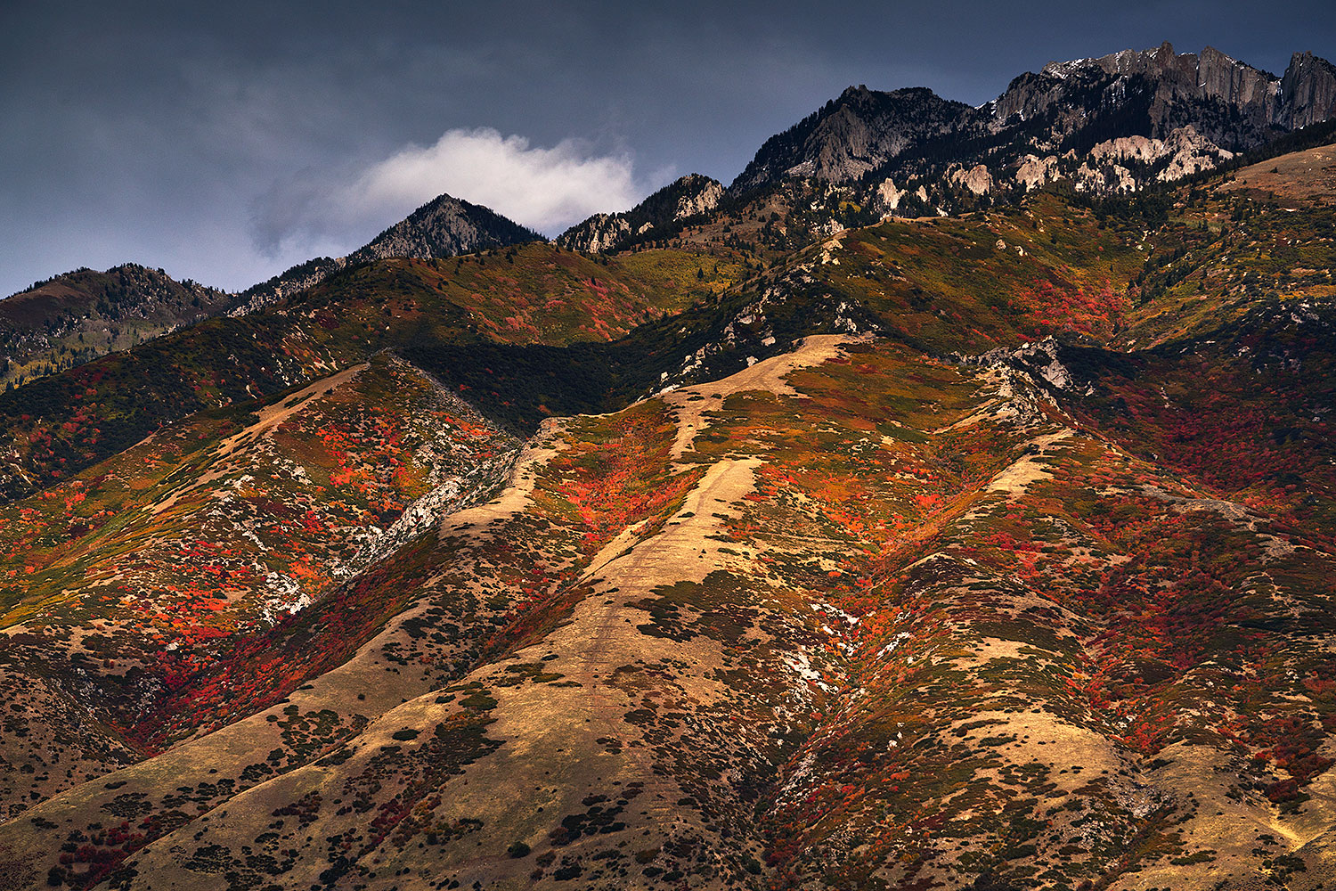 2017-10-08-utah-slc-im100-a7r2_05775