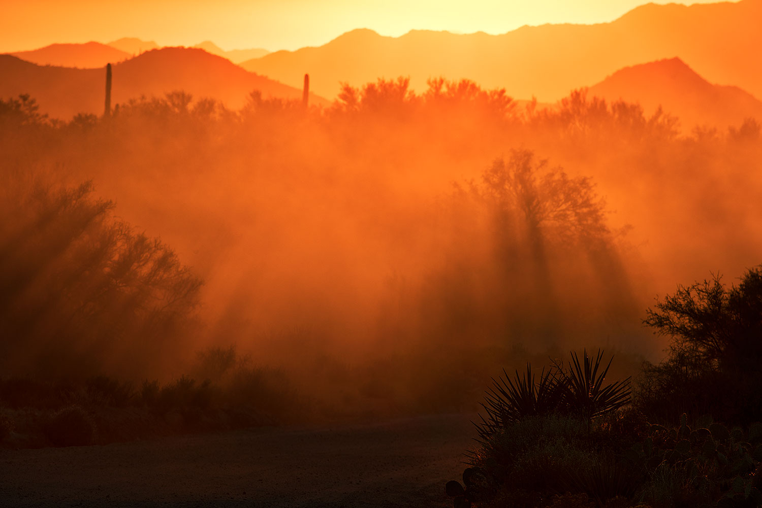 2017-10-23-4peaks-set-dust-a7r2_06032