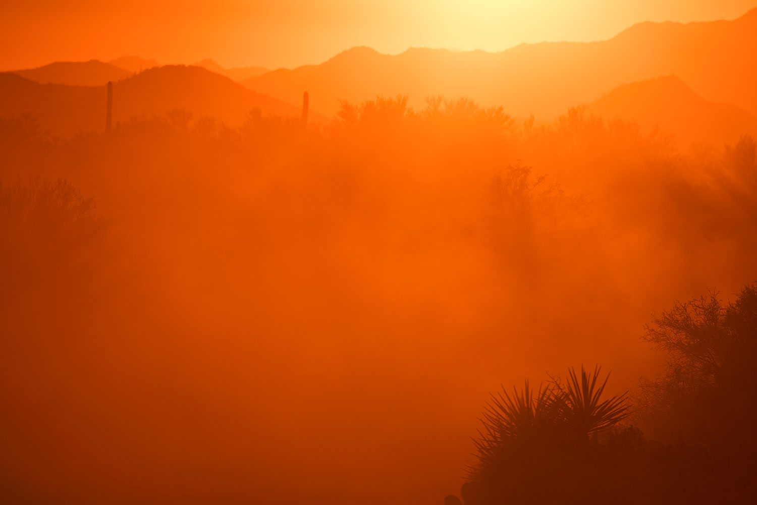 2017-10-23-4peaks-set-dust-a7r2_06060