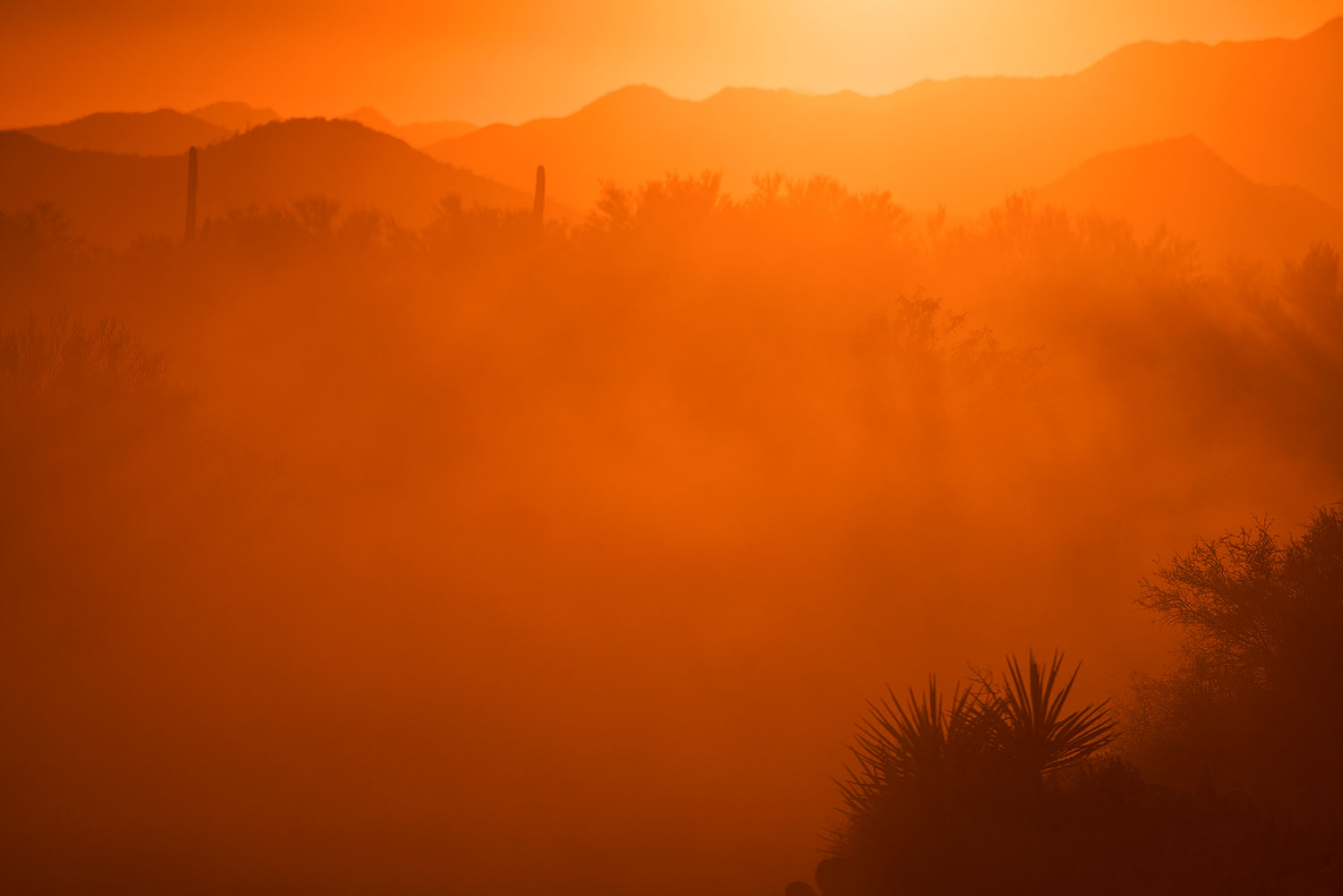 2017-10-23-4peaks-set-dust-a7r2_06061
