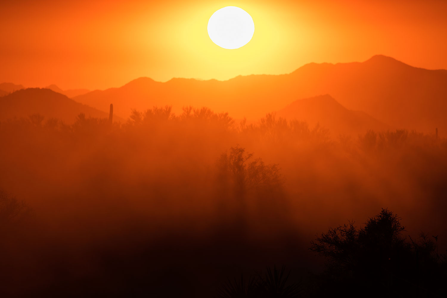 2017-10-23-4peaks-set-dust-a7r2_06074