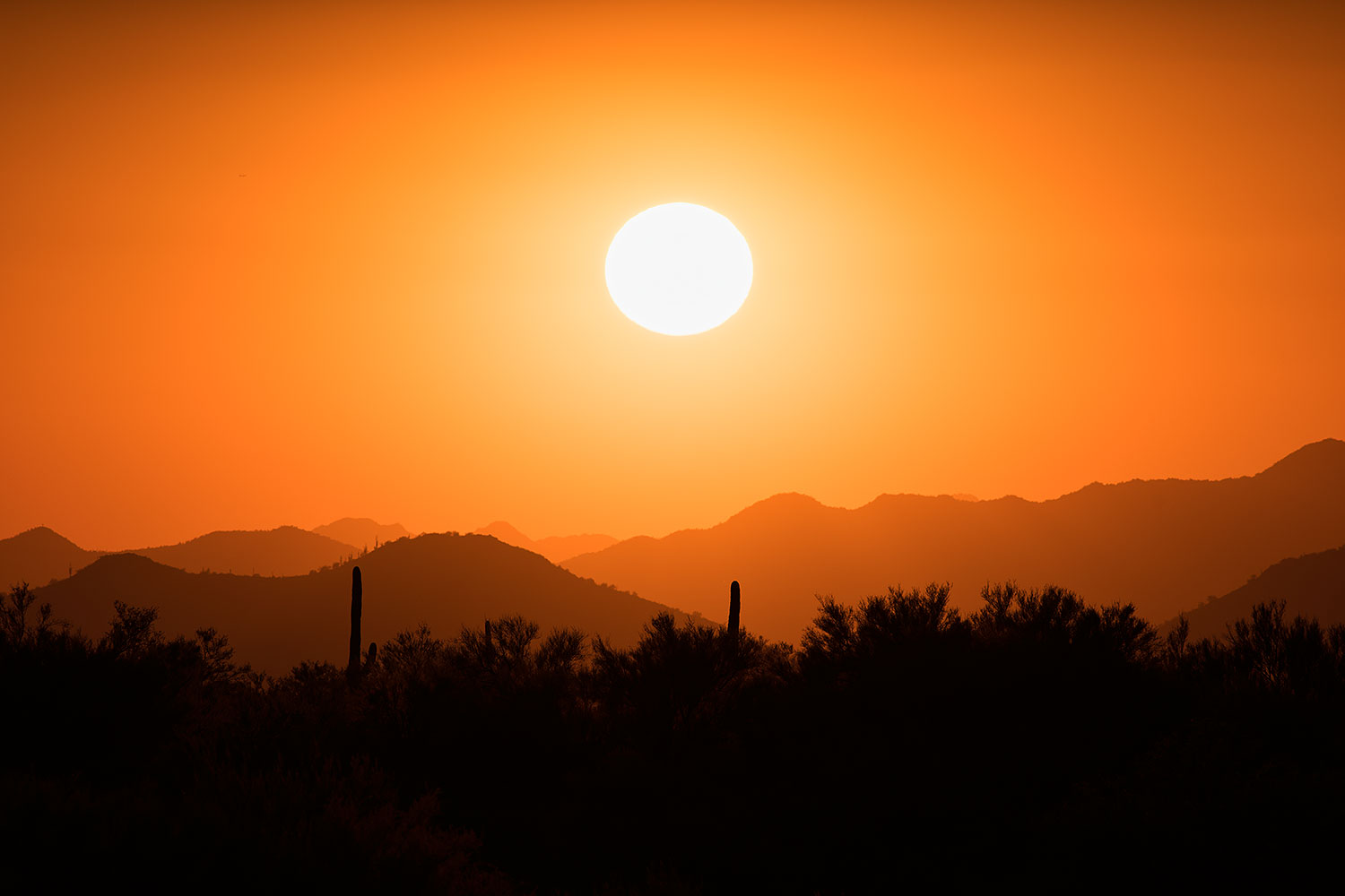 2017-10-26-4peaks-set-mi50-a7r2_06264