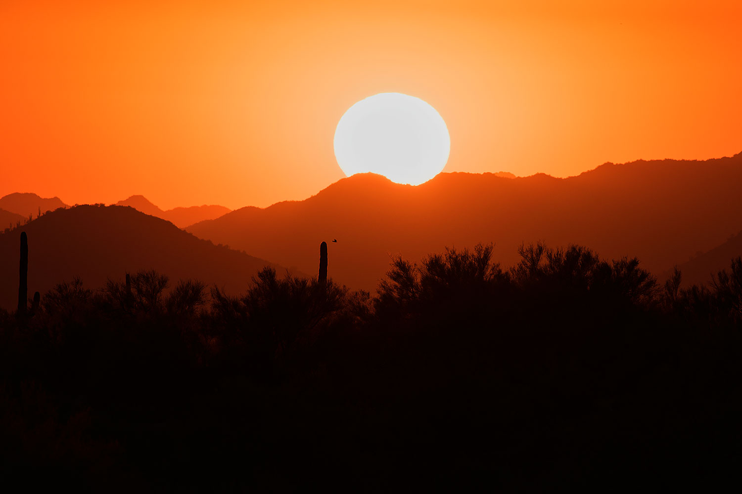 2017-10-26-4peaks-set-mi75-a7r2_06282