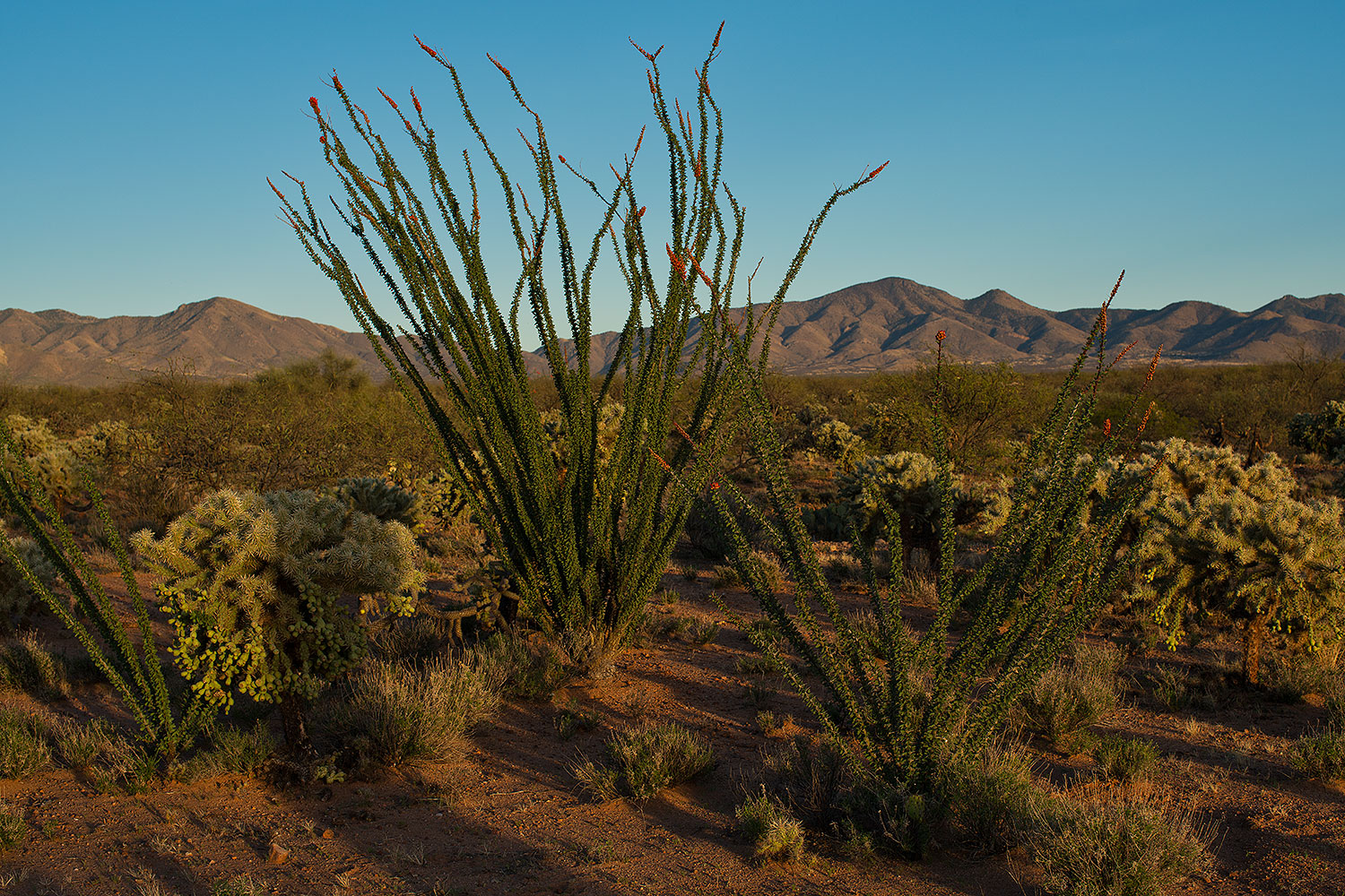 2018-03-30-gv-ocoti-mi100-a7r3_0348