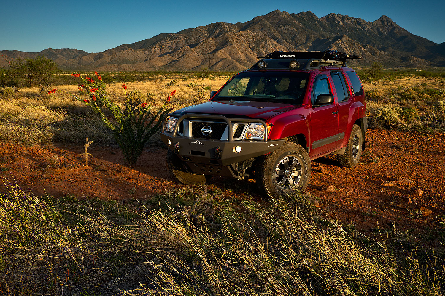 2018-04-12-rita-xterra-im77-a7r3_0874