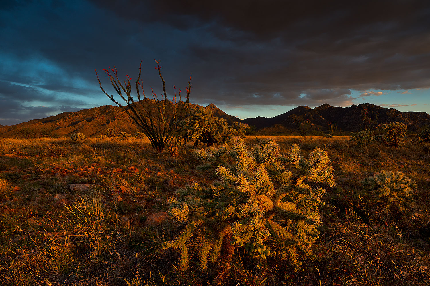 2018-04-27-rita-eve-4to6-a7r3_1613